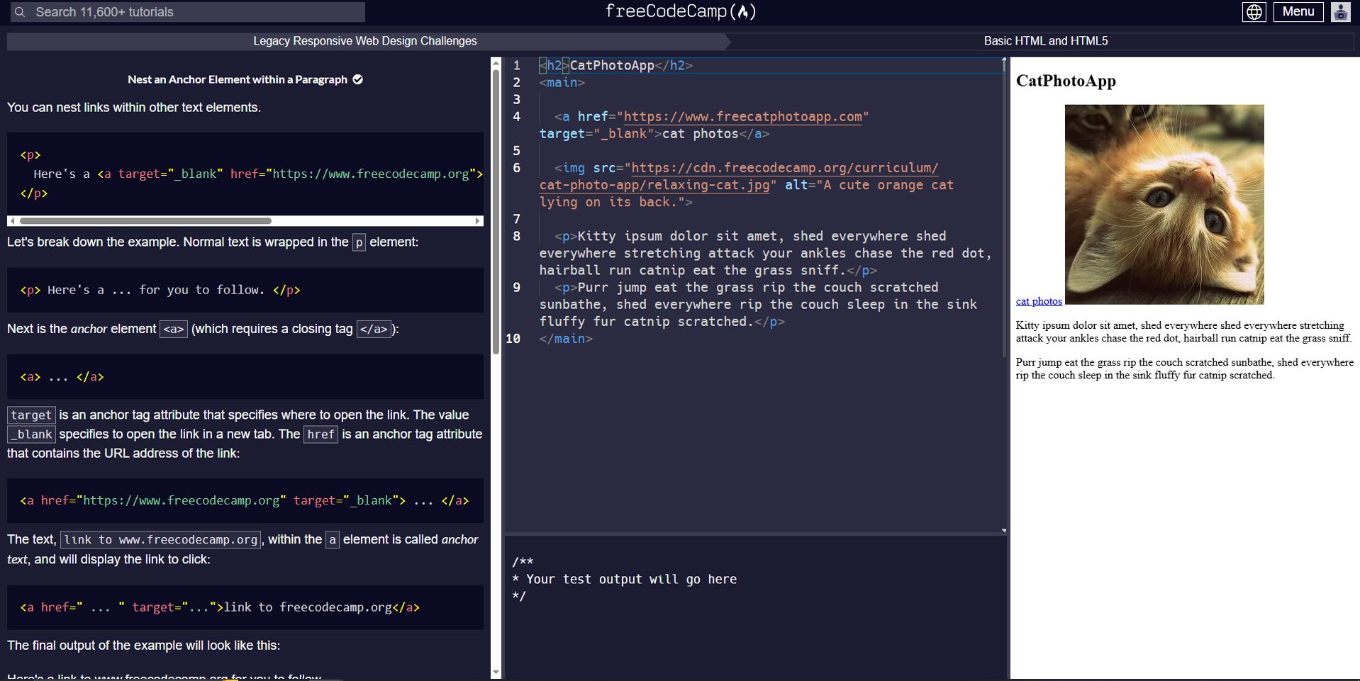 screenshot of freecodecamp